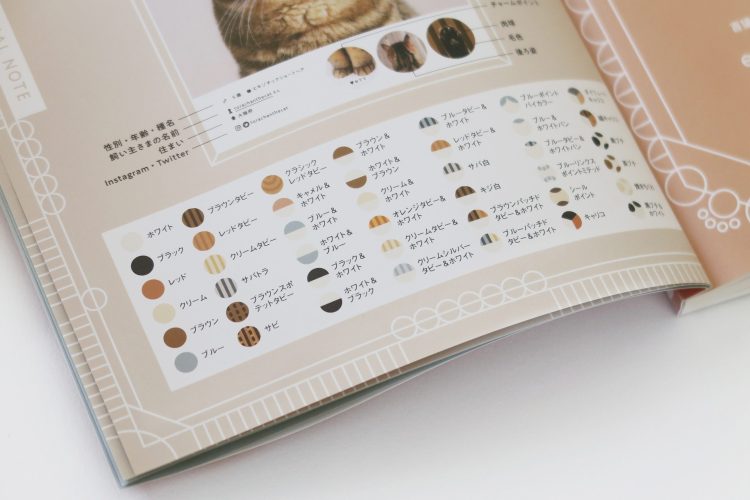 仙境张家界—首届湖南旅游发展大会吉祥物、LOGO发布
