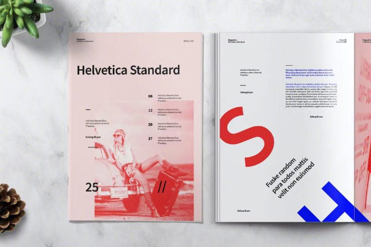 HELVETICA 杂志排版设计