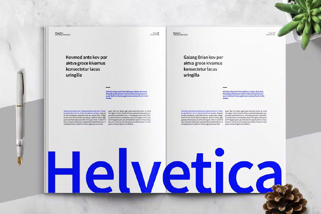 HELVETICA 杂志排版设计
