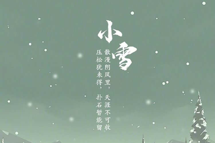 15张小雪节气插画海报设计