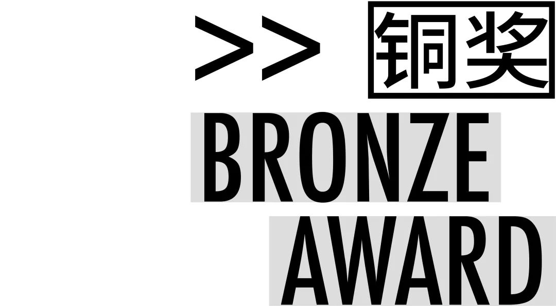 2021白金创意国际大学生平面设计大赛获奖作品选登—B4.字体设计
