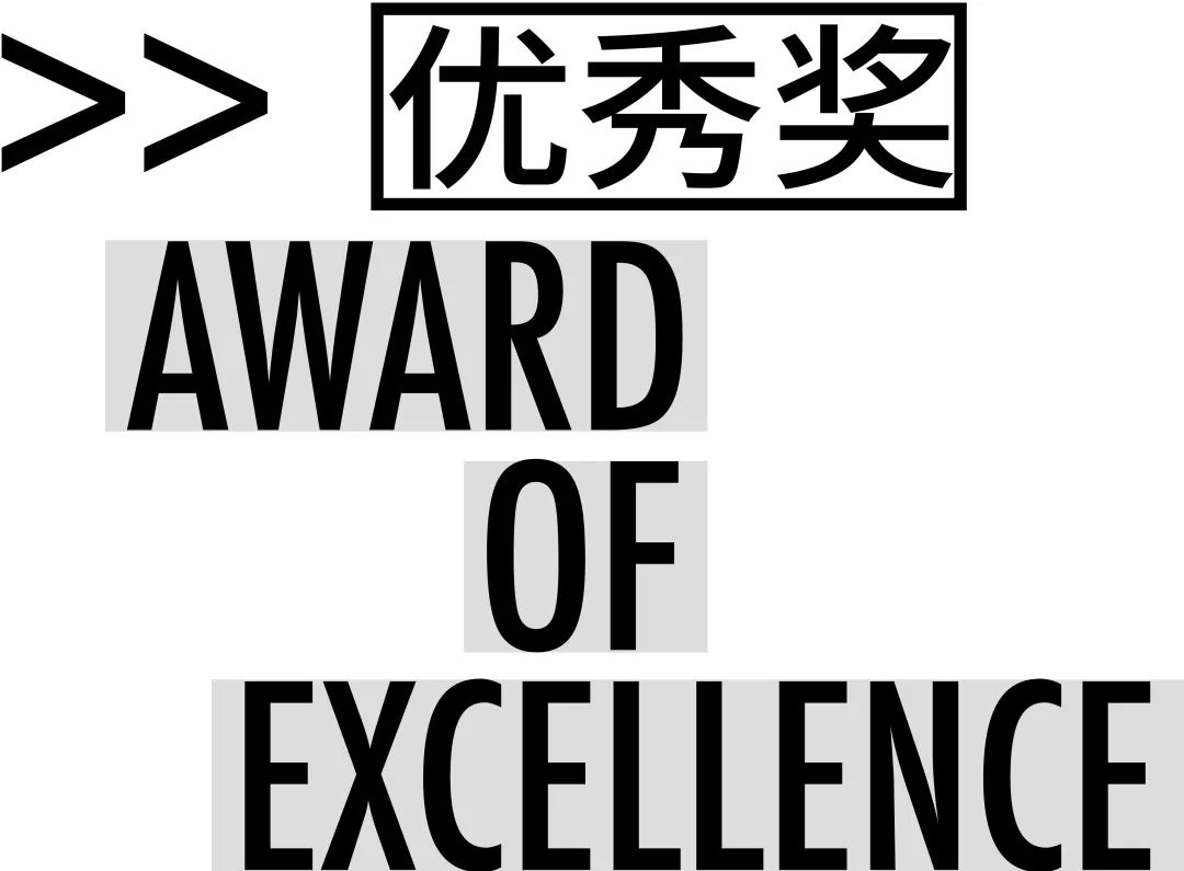 2021白金创意国际大学生平面设计大赛获奖作品选登—B4.字体设计