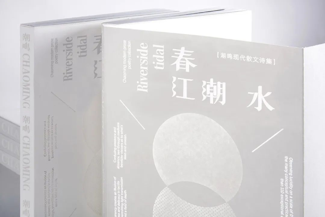 2021白金创意国际大学生平面设计大赛获奖作品选登—B4.字体设计