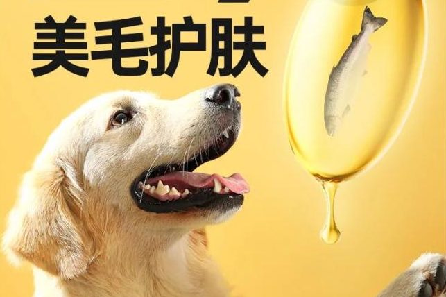 狗粮详情页版式设计