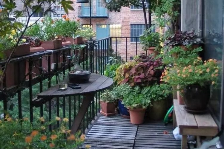 生活可以很美，小小阳台也可以是“大花园”