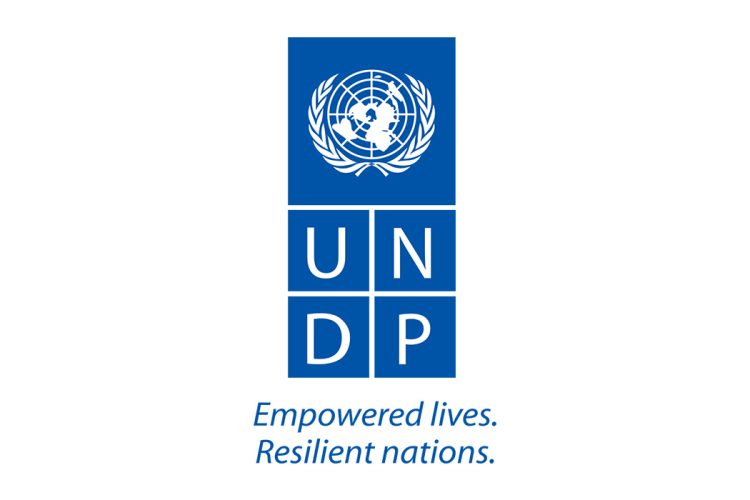 联合国开发计划署logo矢量标志素材下载