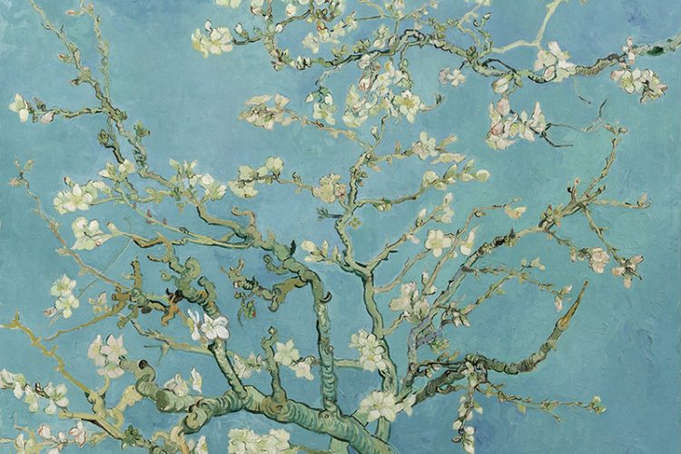 梵高：名画《开花的杏树》高清大图下载