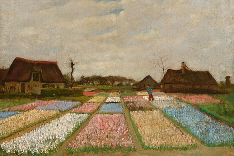 梵高：《花圃 Bulb field》超高清大图下载