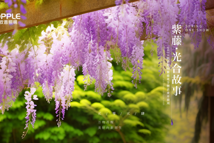 如何打造光合朋友圈？2024欧普照明紫藤花节暨企业开放周给出详解