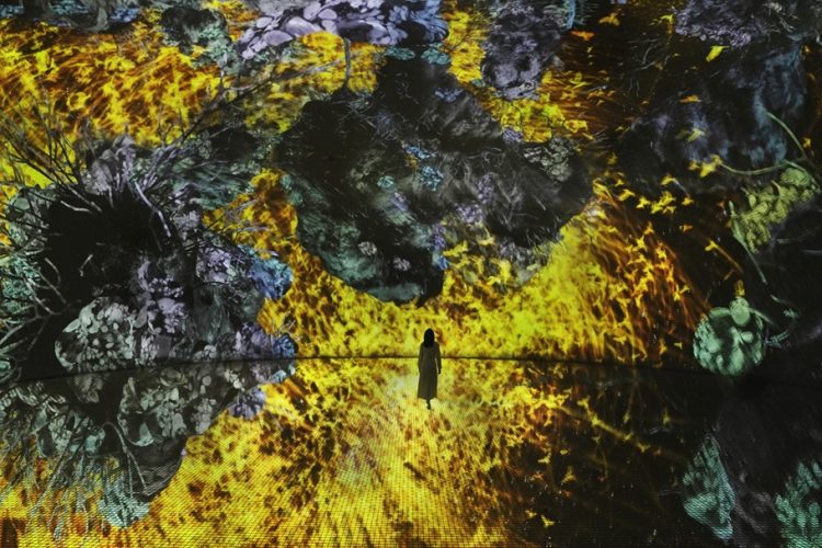 沉浸式艺术空间teamLab 4 月18日于阿布扎比萨迪亚特文化区揭幕
