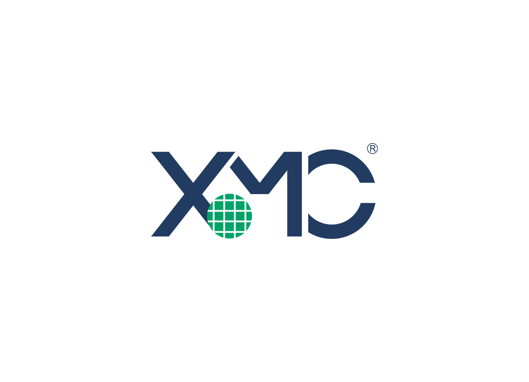 武汉新芯logo矢量标志素材